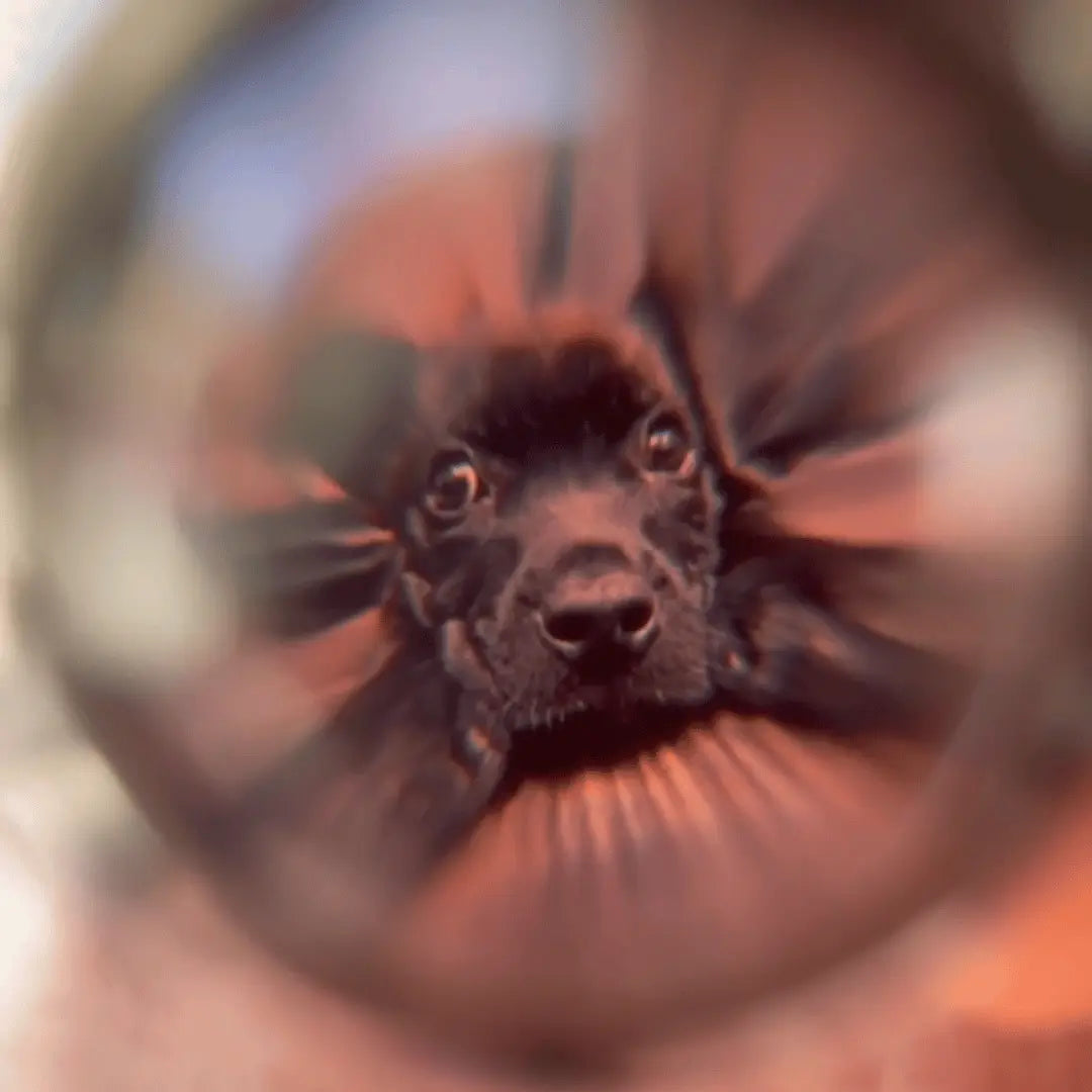 KEEP MEMORIES™ Bracciale ricordo